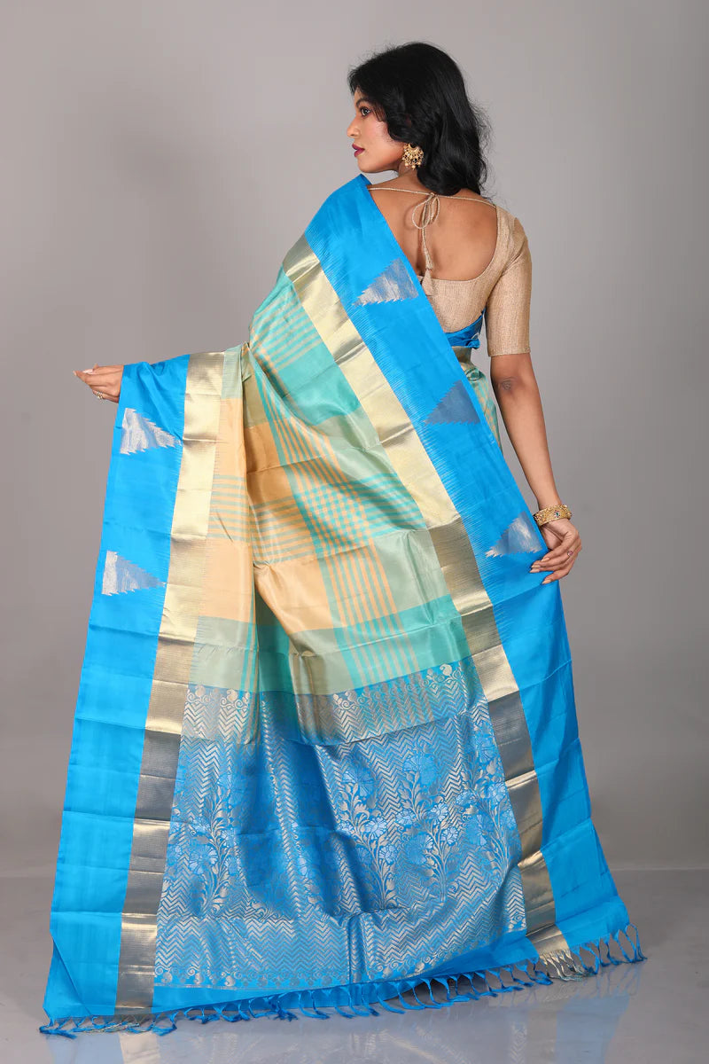 Blue Multicolored Pure Kanjivaram Saree - Keya Seth Exclusive
