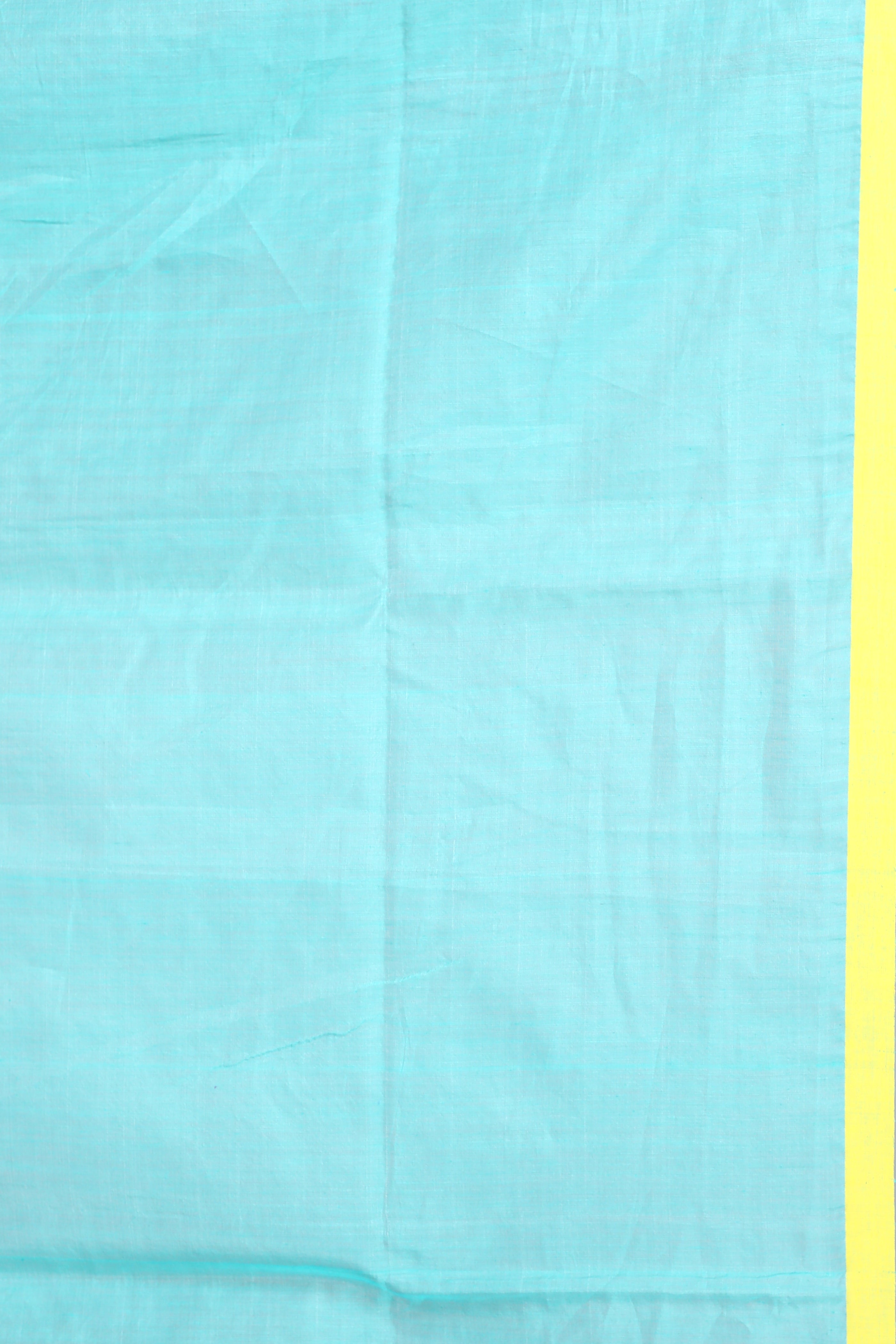 Light Green Pure Muslin Saree