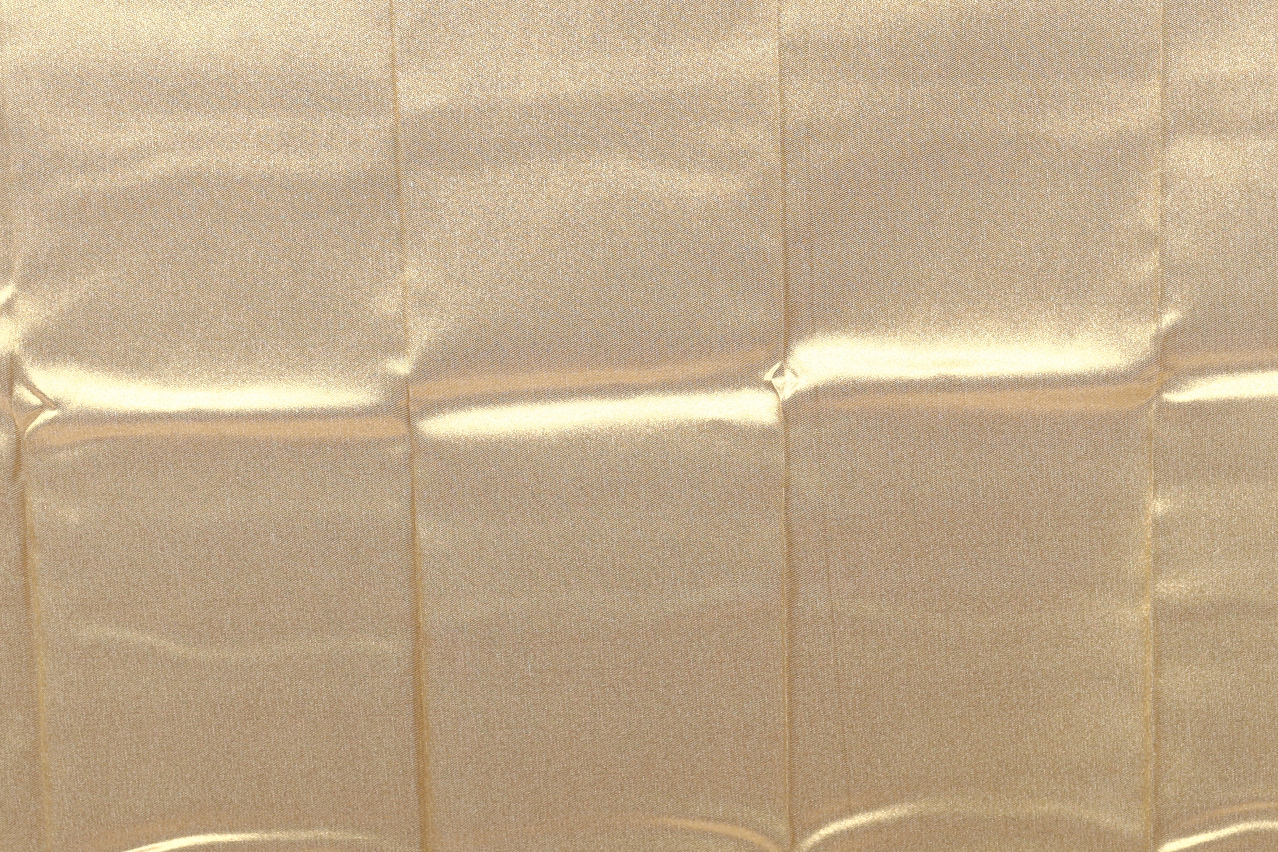 Cream Tissue Saree