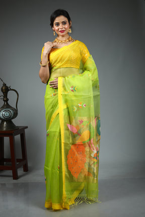 Parrot Green Pure Muslin Saree