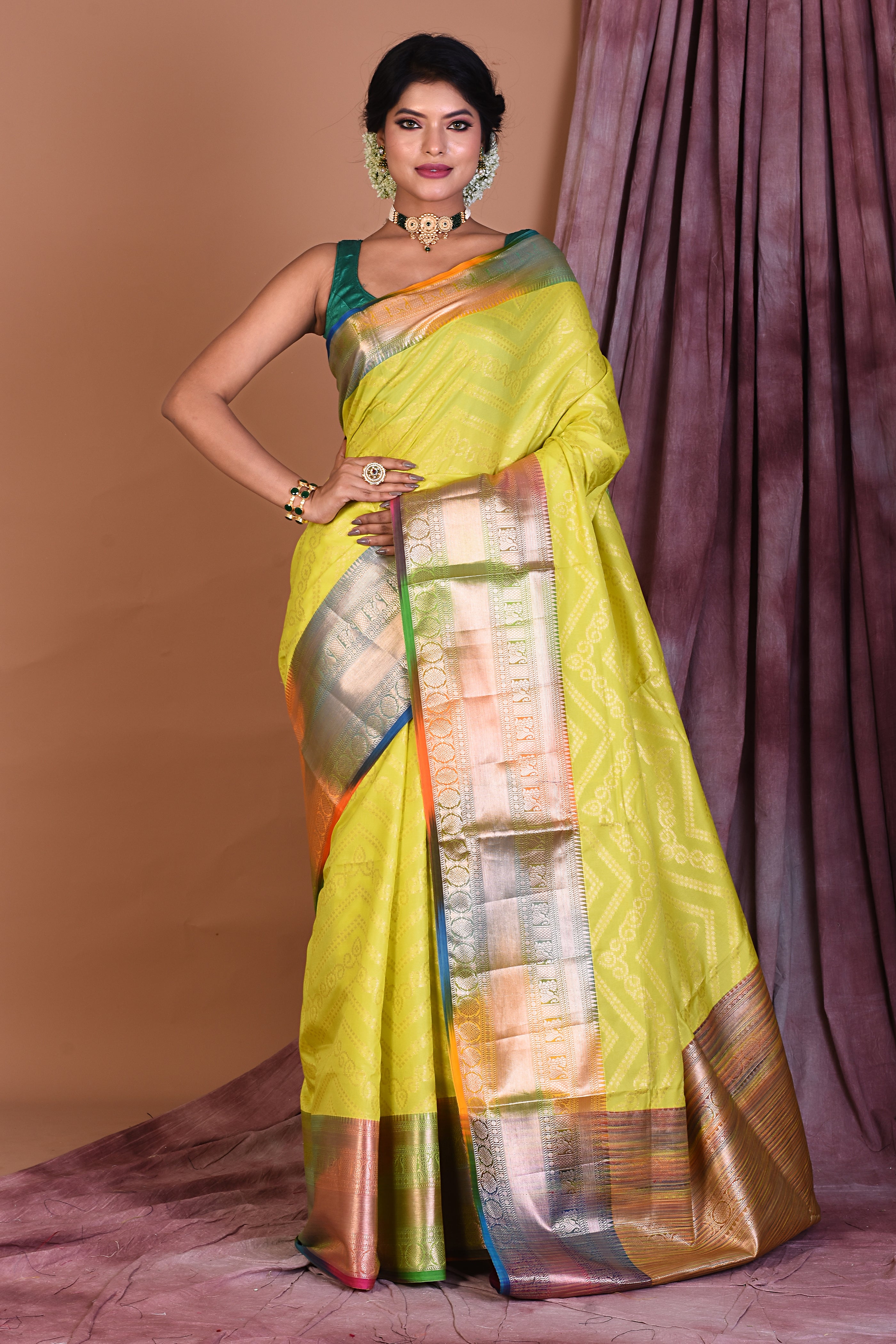 Pesta Blended Tissue Saree with Multicolored Border - Keya Seth Exclusive