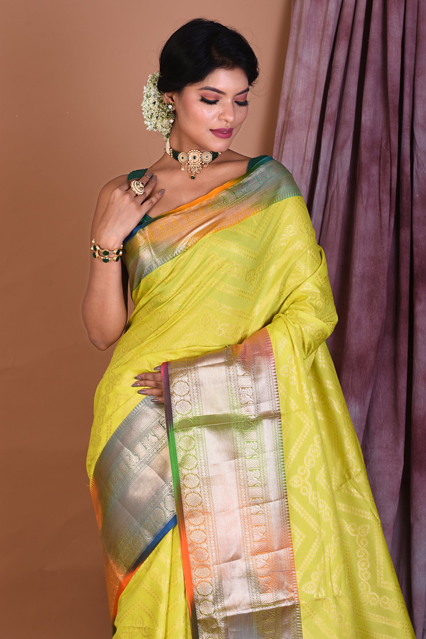 Pesta Blended Tissue Saree with Multicolored Border - Keya Seth Exclusive