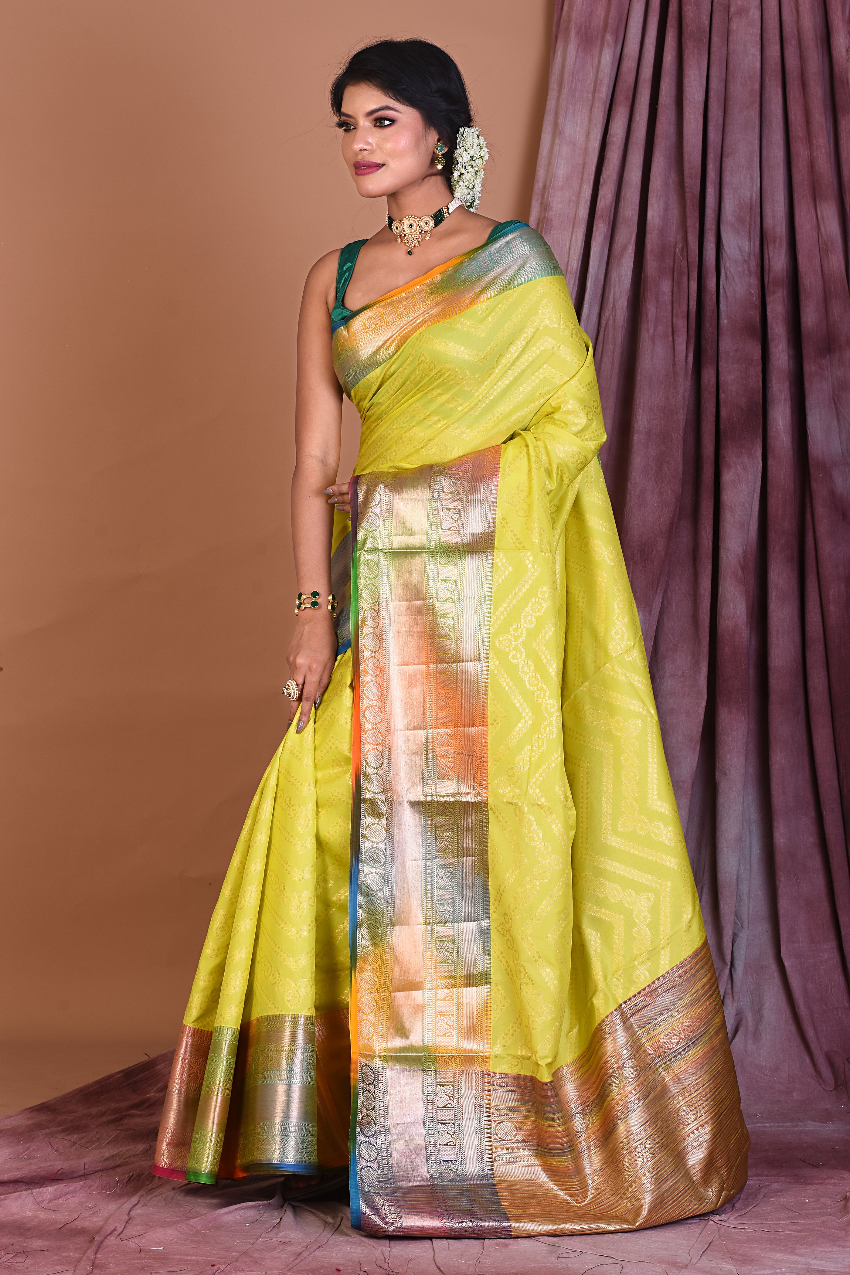 Pesta Blended Tissue Saree with Multicolored Border - Keya Seth Exclusive