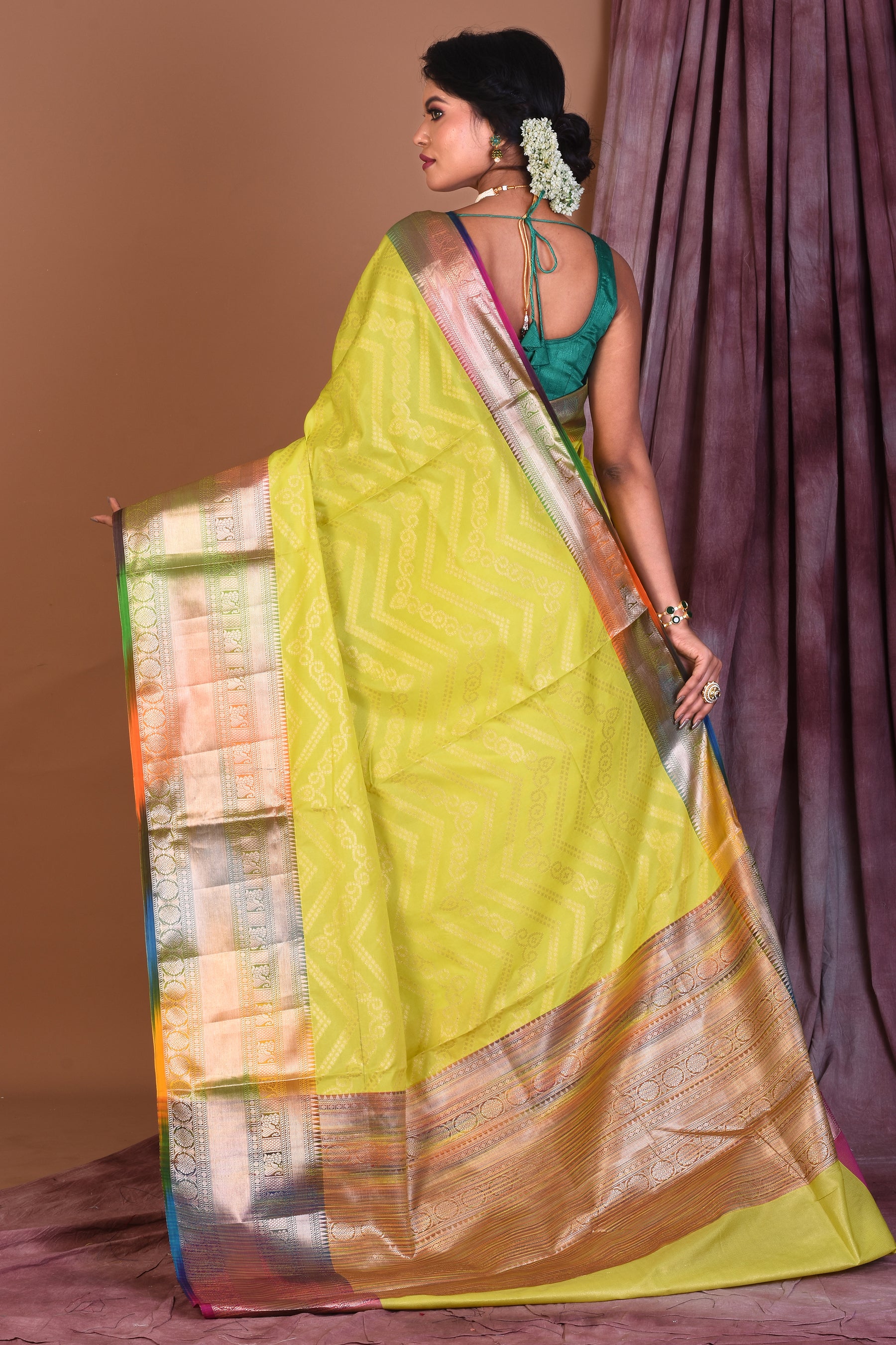 Pesta Blended Tissue Saree with Multicolored Border - Keya Seth Exclusive