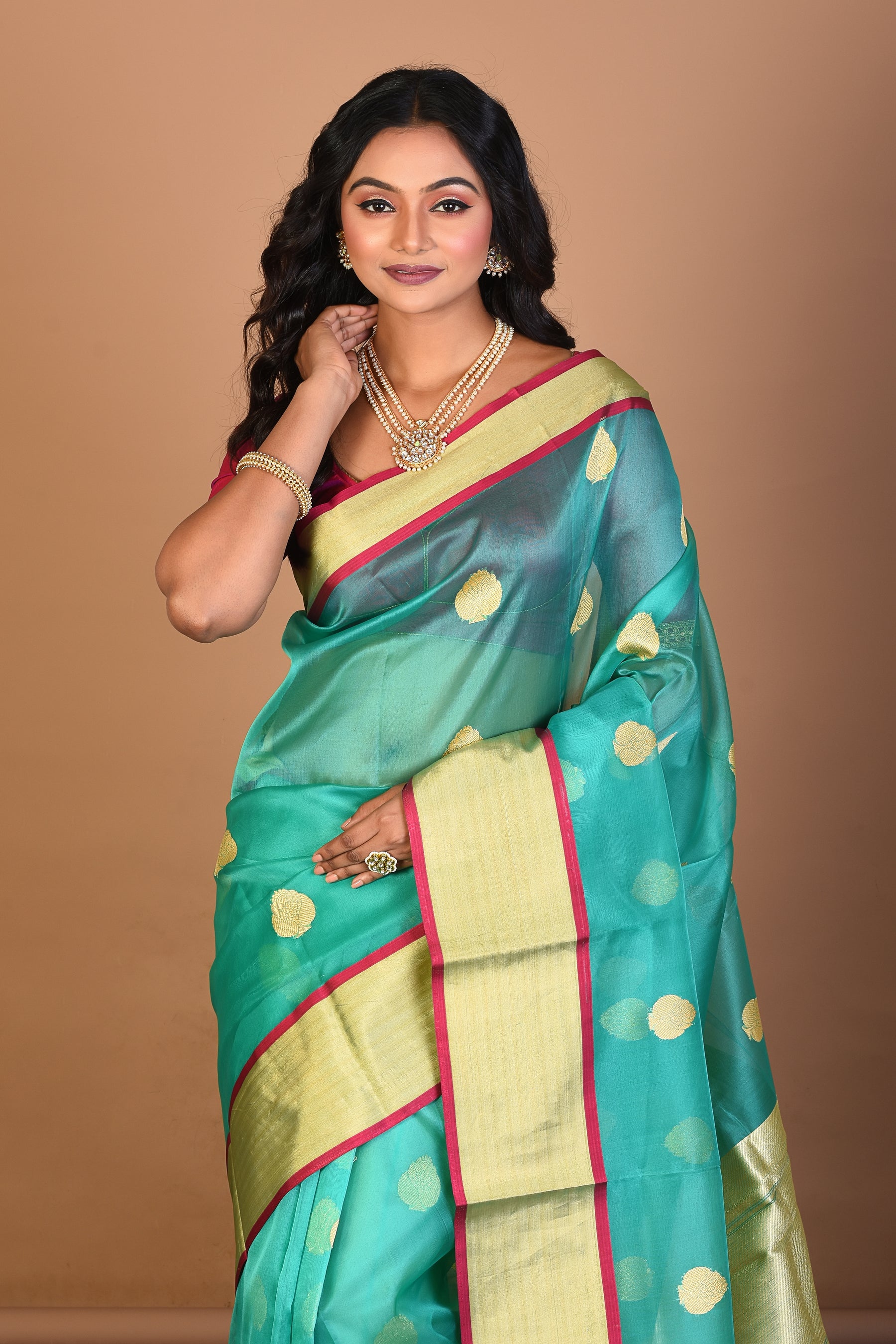 Light Green Tissue Saree with Blouse Piece - Keya Seth Exclusive