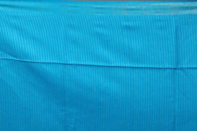 Blue Tussar Saree