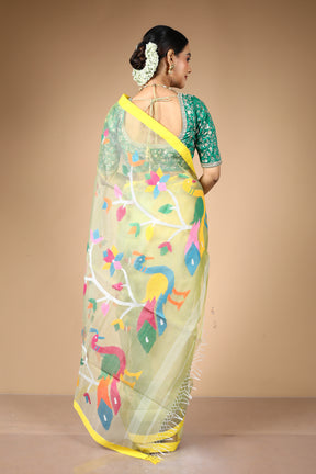 Light Green Pure Muslin Saree