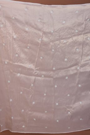 Light Blue Organza Saree - Keya Seth Exclusive
