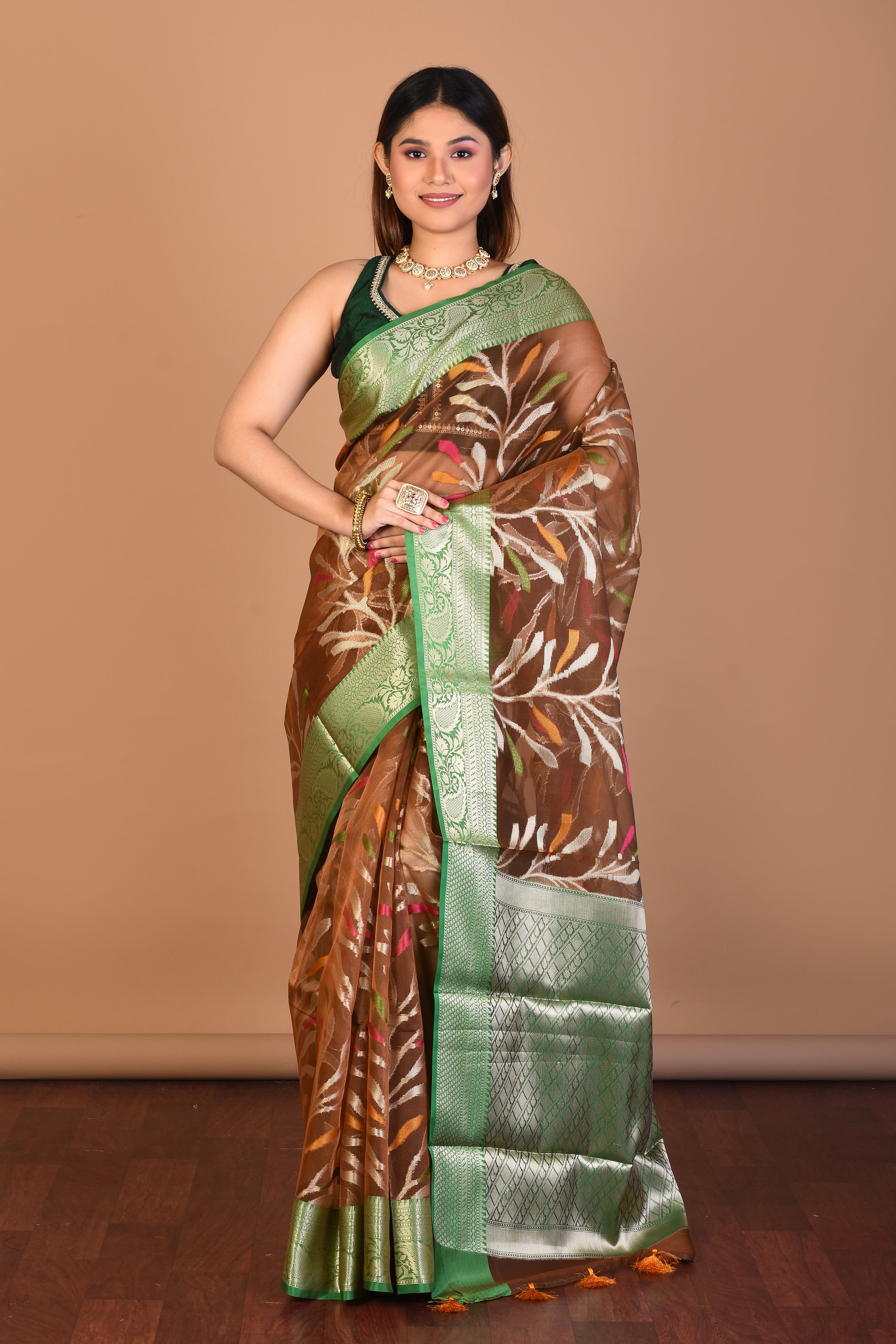 Brown Tissue Saree with Blouse Piece - Keya Seth Exclusive