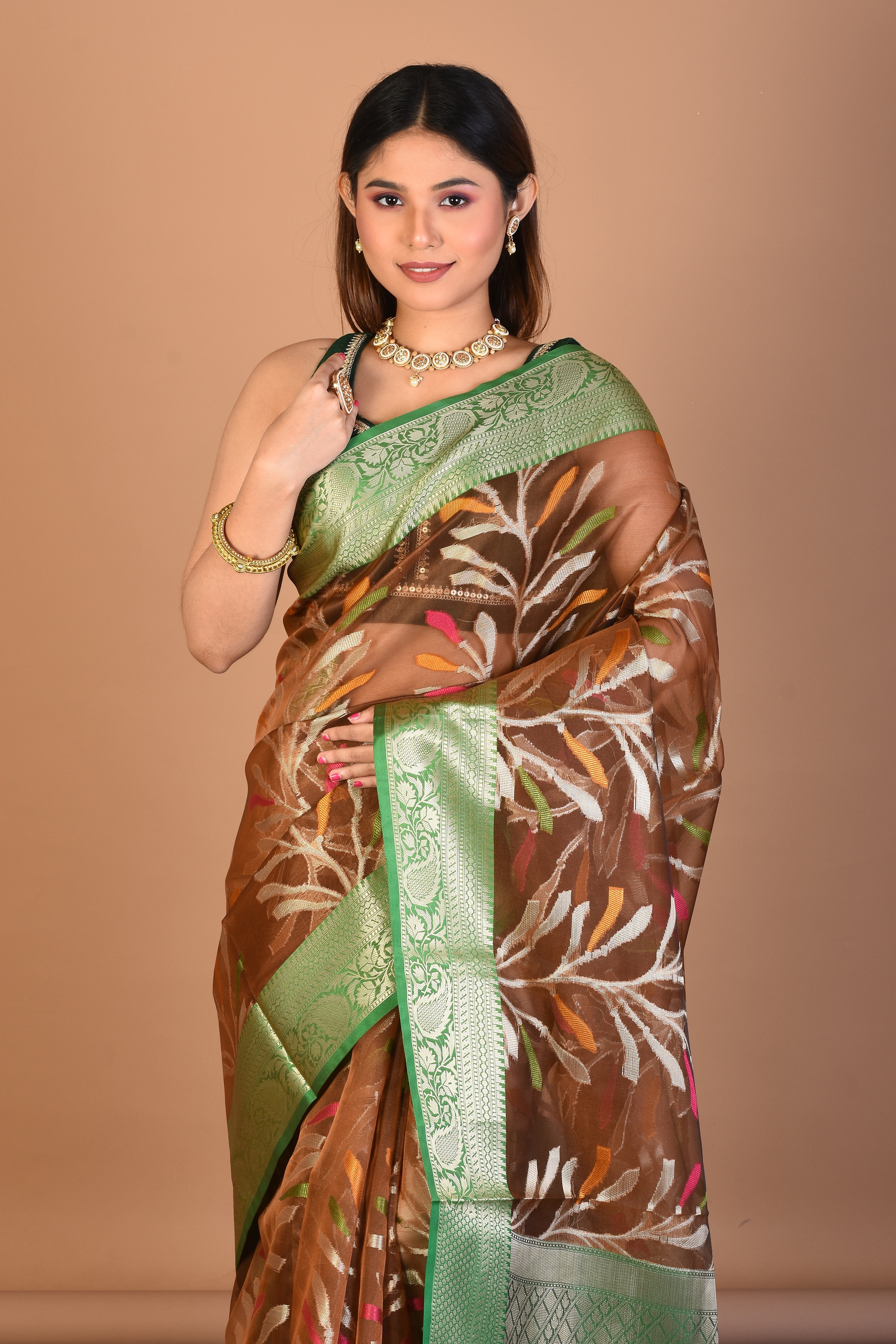 Brown Tissue Saree with Blouse Piece - Keya Seth Exclusive