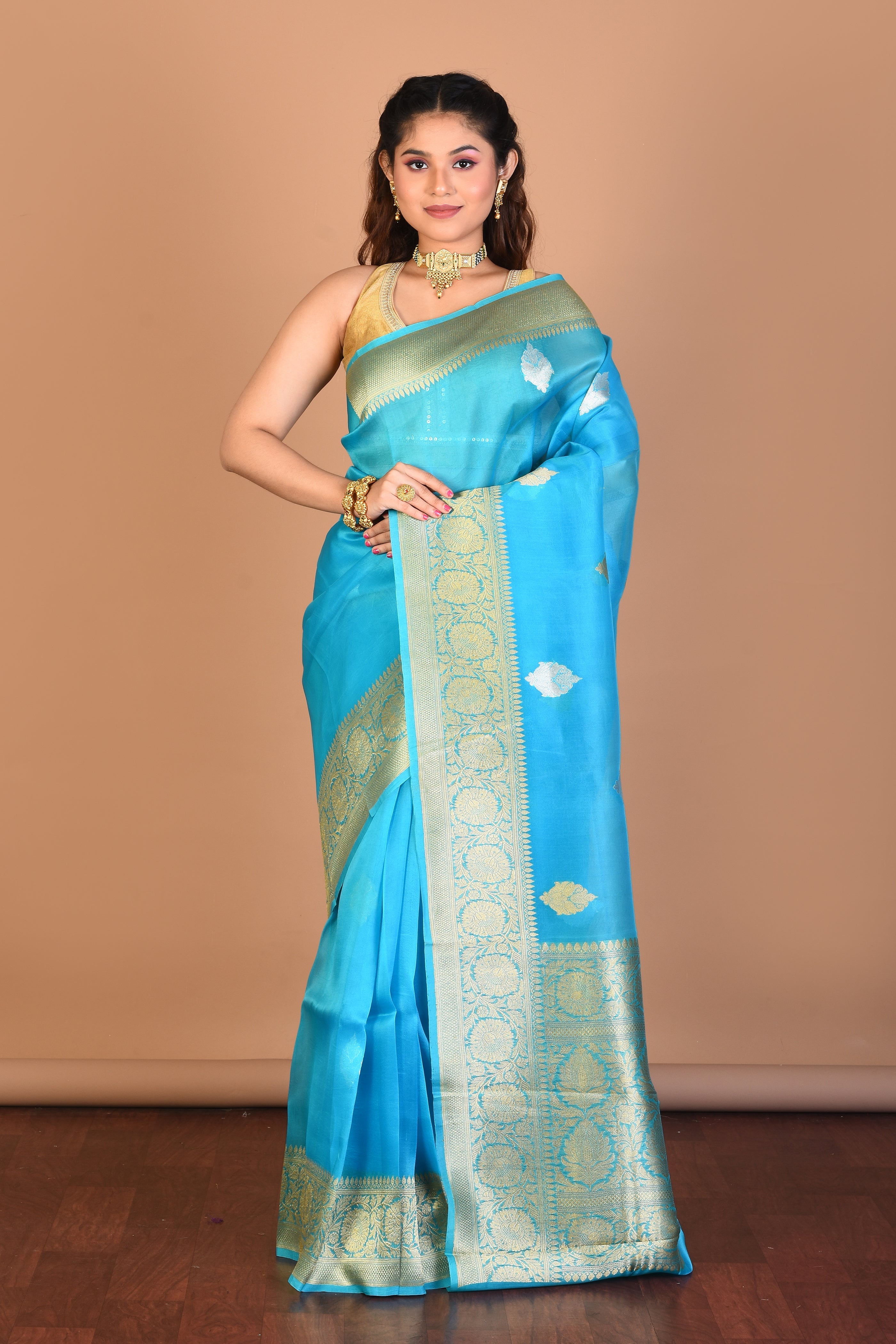 Light Blue Pure Tissue Saree with Blouse Piece - Keya Seth Exclusive