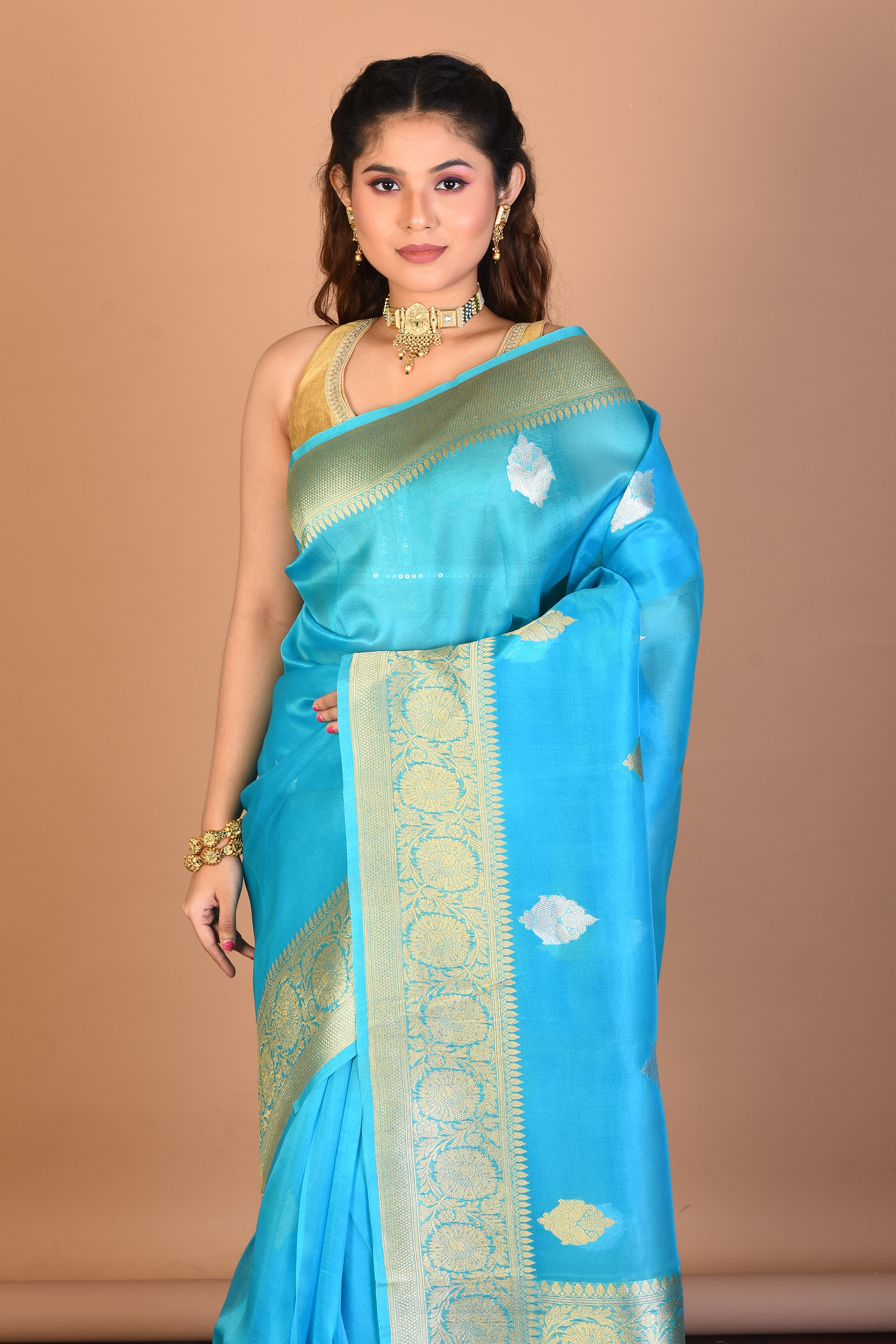 Light Blue Pure Tissue Saree with Blouse Piece - Keya Seth Exclusive