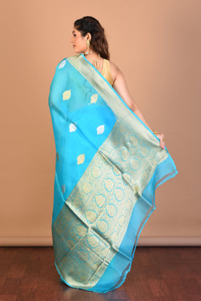 Light Blue Pure Tissue Saree with Blouse Piece - Keya Seth Exclusive