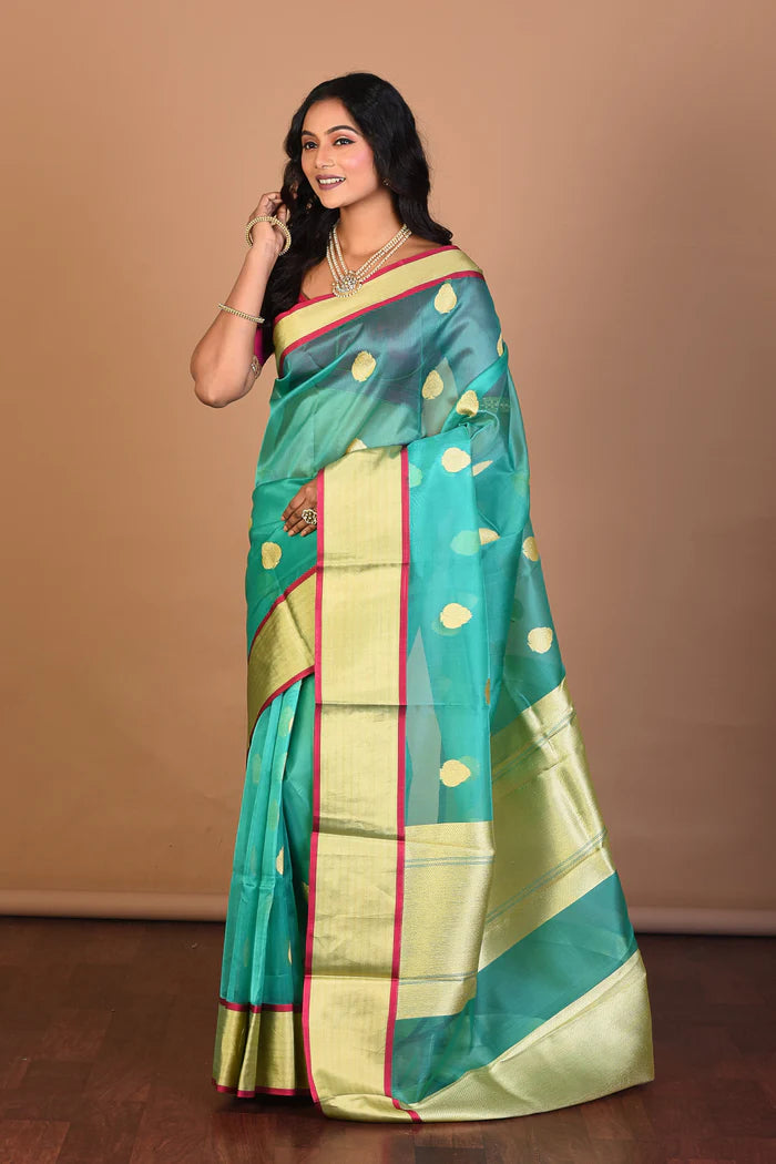 Light Green Tissue Saree with Blouse Piece - Keya Seth Exclusive