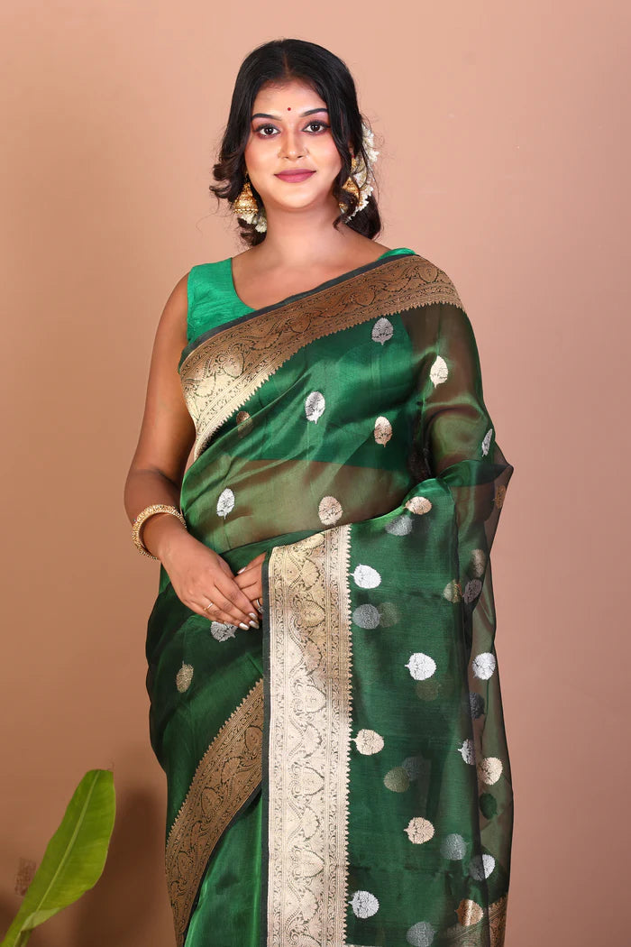 Green Pure Tissue Saree - Keya Seth Exclusive