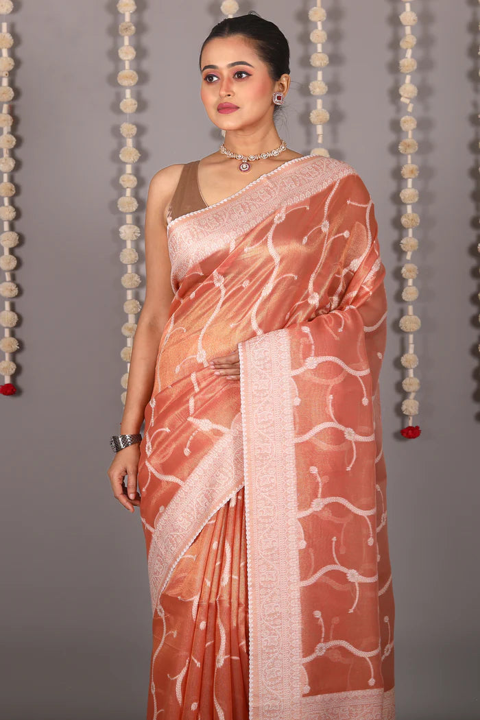 Light Brown Blended Tissue With Jalwork - Keya Seth Exclusive